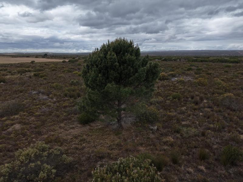 1 Bedroom Property for Sale in Riversdale Western Cape